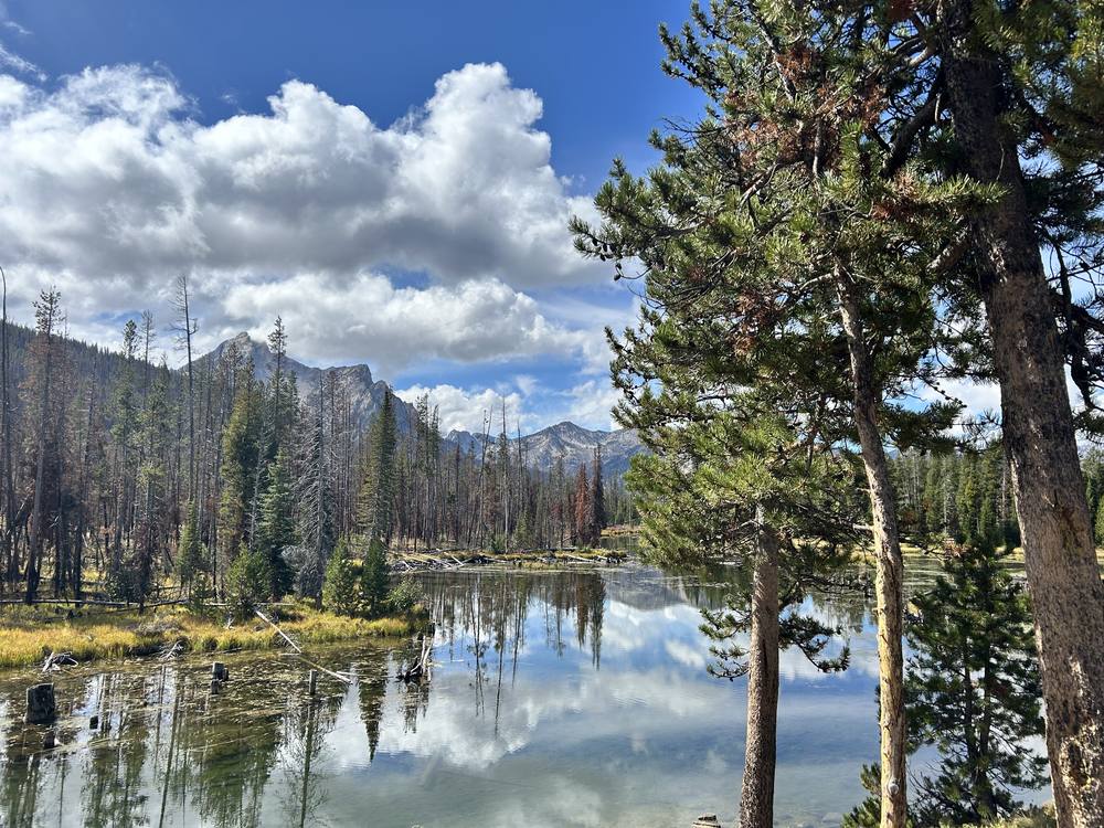 Pines and clouds mirrored in a still alpine lake