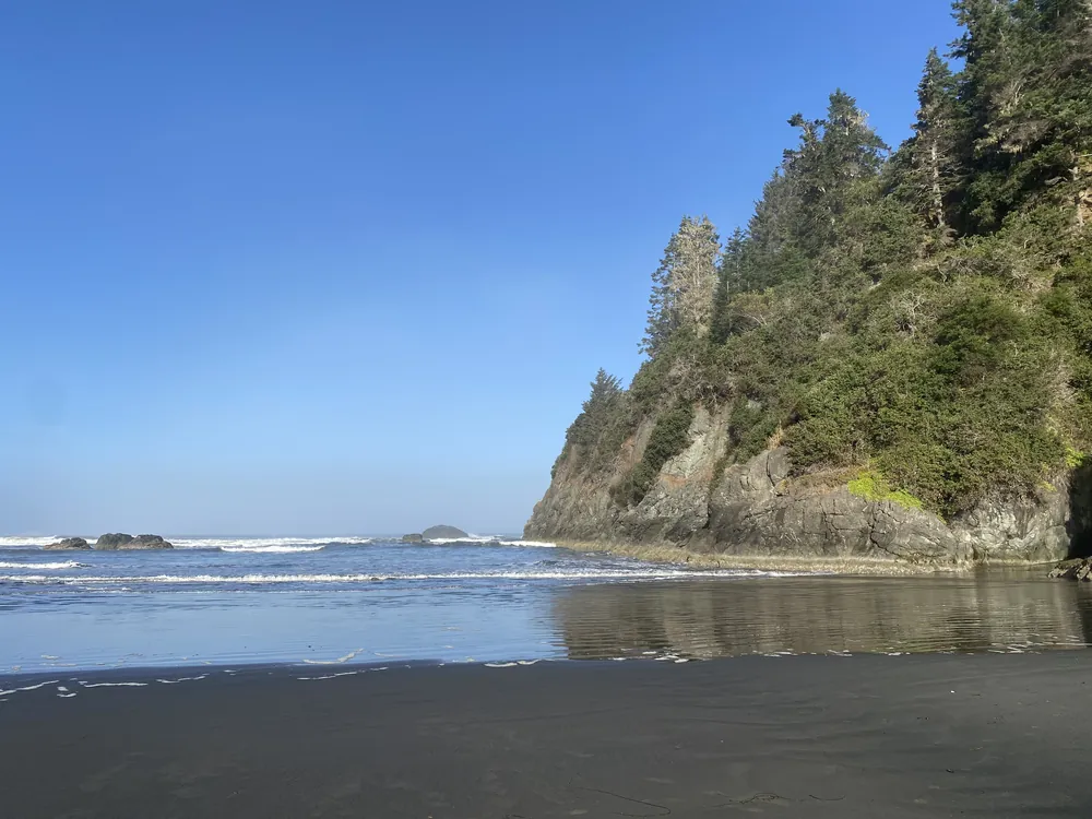 A forested headland where the waves meet the beach