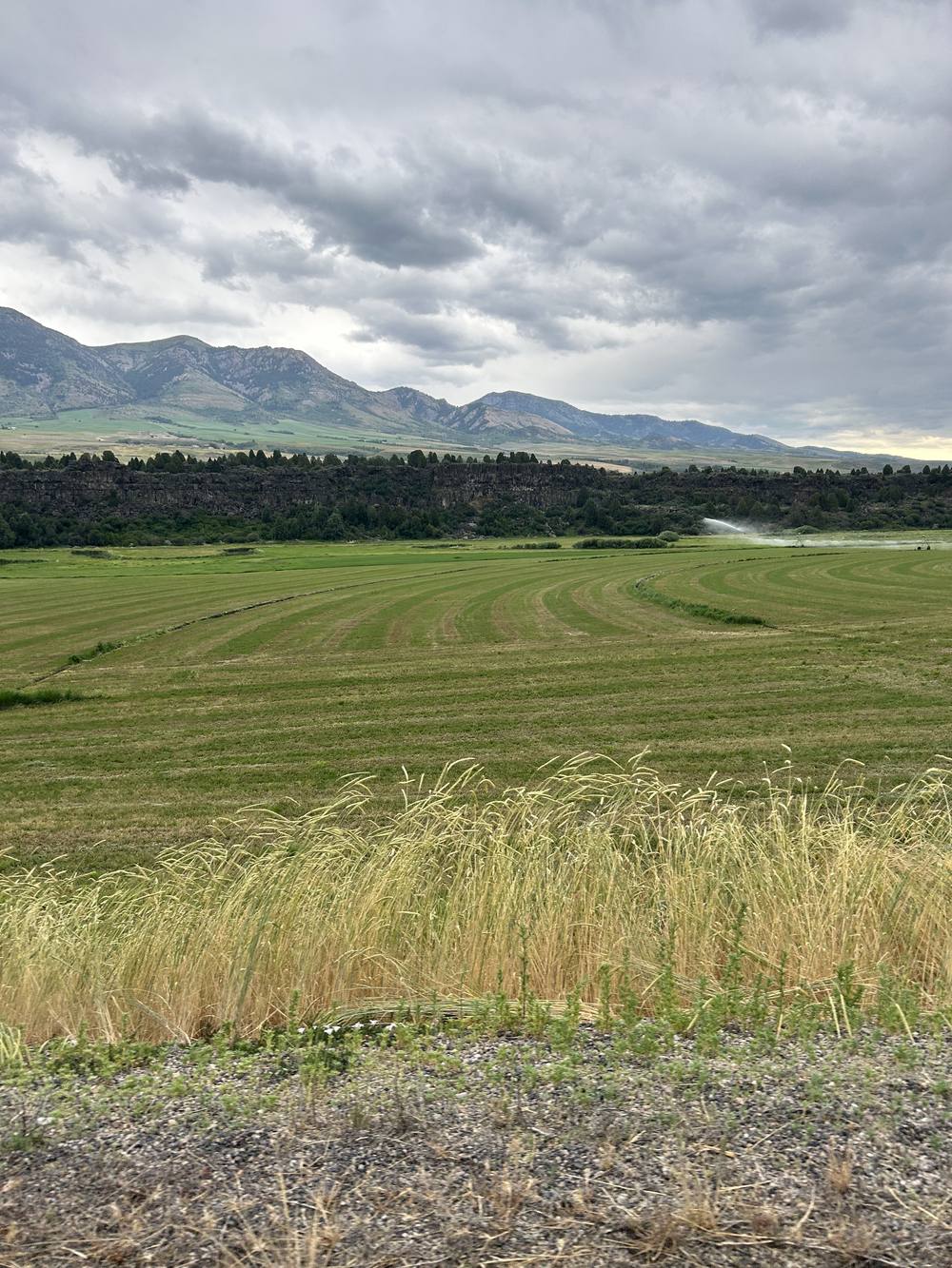 Green fields stretching toward the mountains